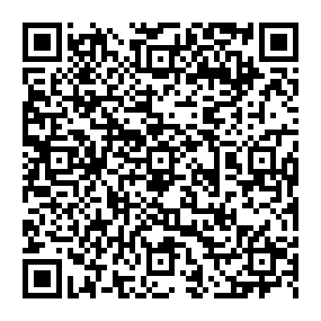 vCard 79236962633