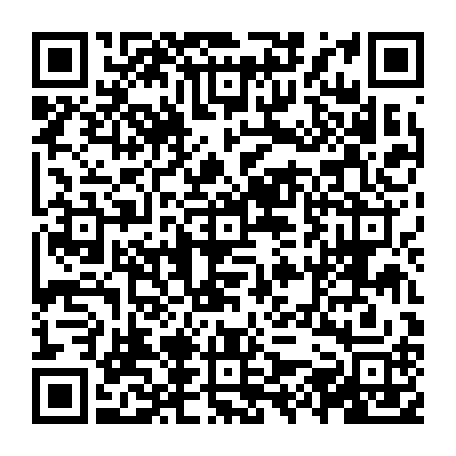 vCard 79238003333