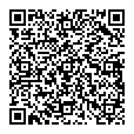 vCard 79238097384