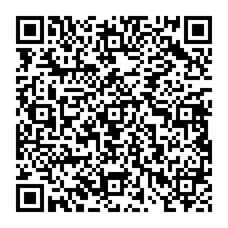 vCard 79238207704