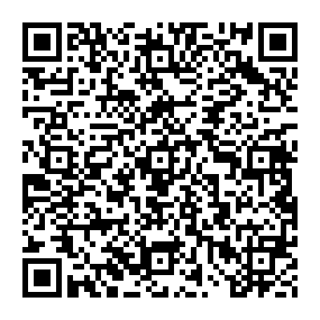 vCard 79238208203