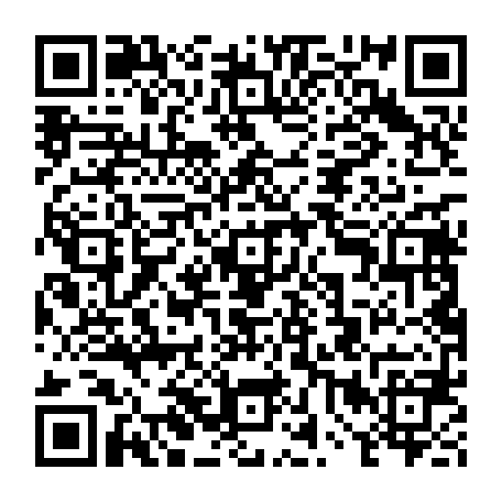 vCard 79238208513