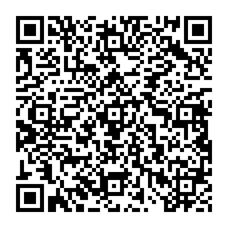 vCard 79238208803