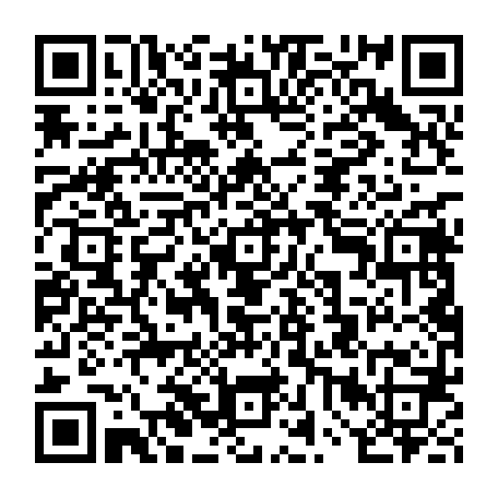vCard 79238208884