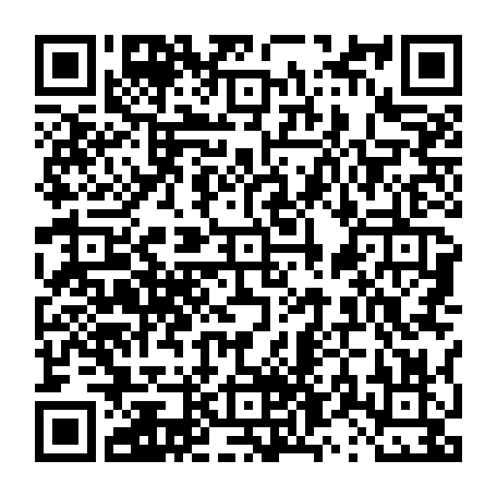 vCard 79238280334
