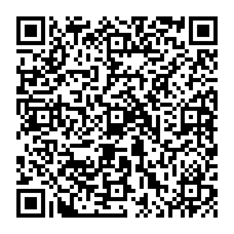 vCard 79239991101