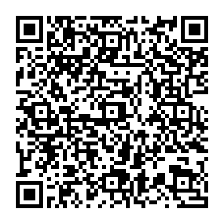 vCard 79239991393